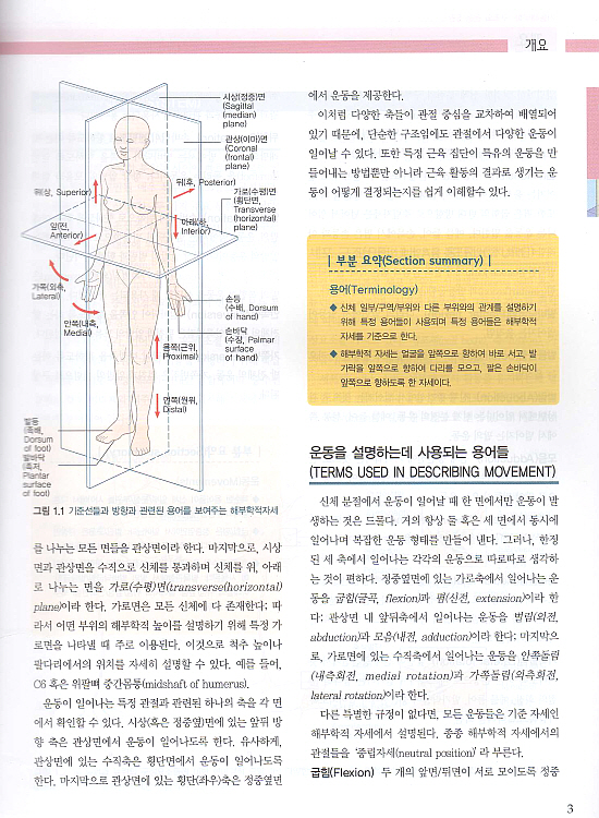 기능해부학-구조와운동 (제5판) Anatomy and Human Movement