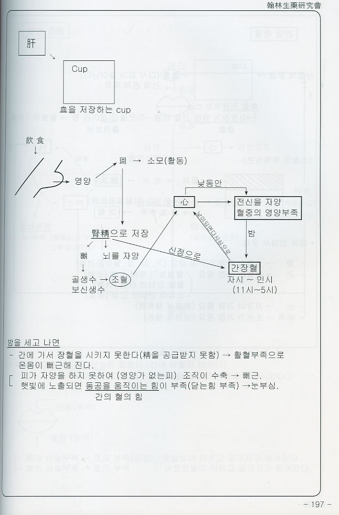 방제에서 사람으로 (도설 기전편)