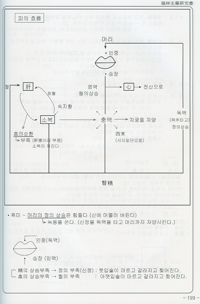 방제에서 사람으로 (도설 기전편)