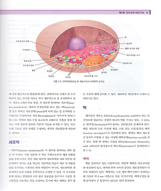 치의학을 위한 생리학 제2판