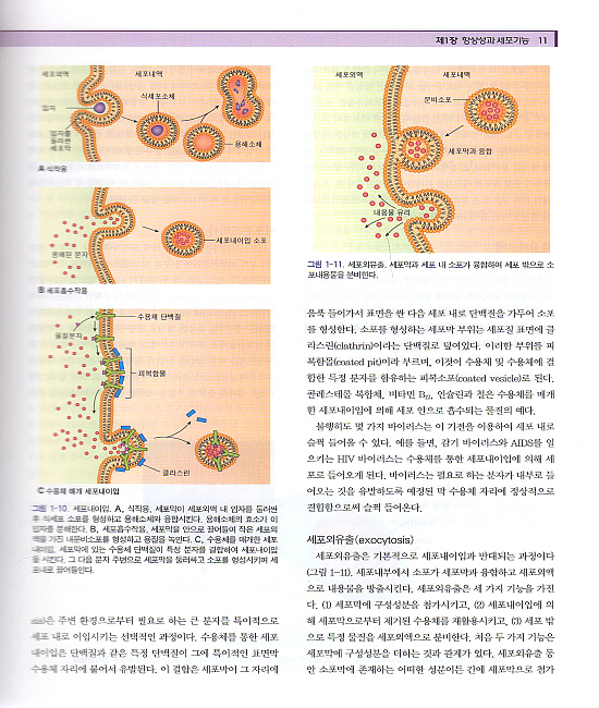 치의학을 위한 생리학 제2판