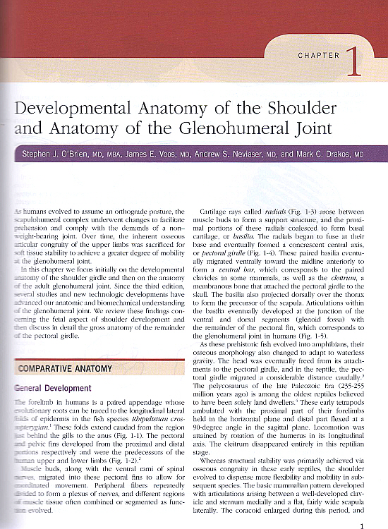 The Shoulder,4/e(2Vols) - Expert Consult:Online, Print, and DVD