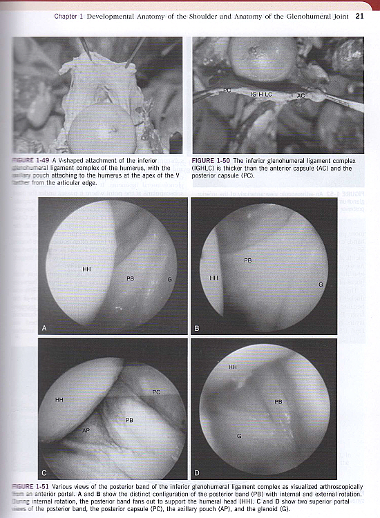 The Shoulder,4/e(2Vols) - Expert Consult:Online, Print, and DVD