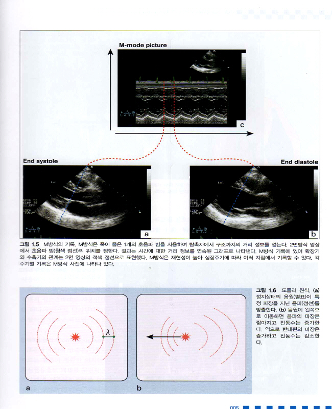 임상 심초음파 - 동영상과 함께 배우는 (동영상 CD포함)