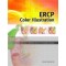 ERCP Color Illustration