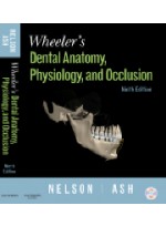 Wheeler's Dental Anatomy, Physiology and Occlusion, 9th Edition