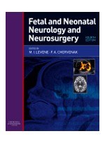 Fetal & Neonatal Neurology & Neurosurgery,4/e