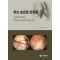 최신 슬관절 관절경 (Advanced Knee Arthroscopy)