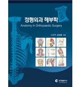정형외과 해부학 (Anatomy in Orthopaedic Surgery)