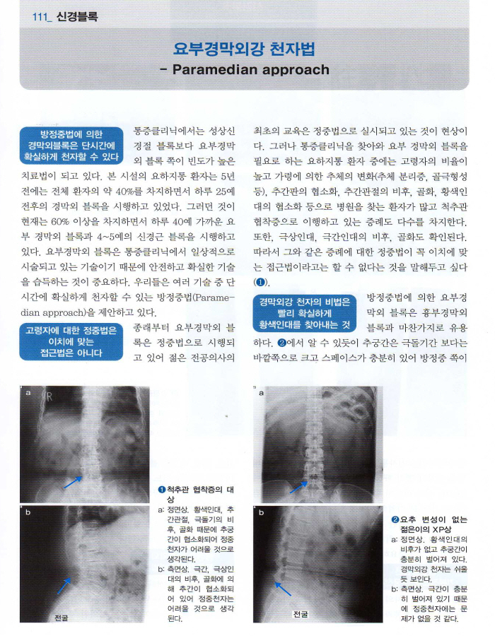 통증진료의 비법 : 페인클리니션을 위한