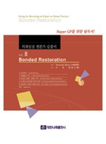 치과임상 전문가 길잡이 Vol.II Bonded Restoration