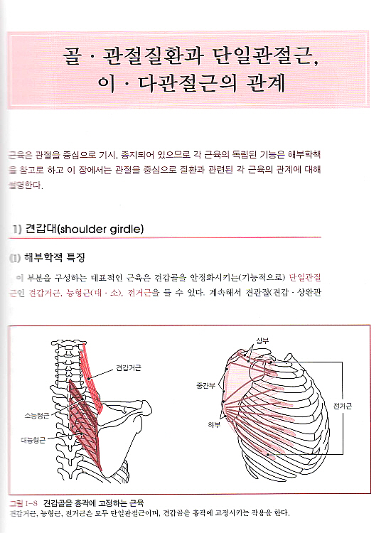 메디컬 스트레칭- 근골격계 질환의 운동요법