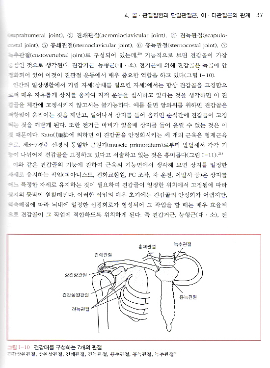 메디컬 스트레칭- 근골격계 질환의 운동요법