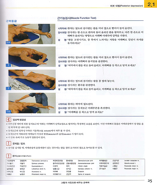 그림과 사진으로 배우는 근육학 : The Muscle(5판)