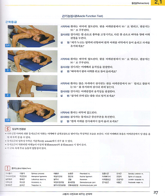 그림과 사진으로 배우는 근육학 : The Muscle(5판)