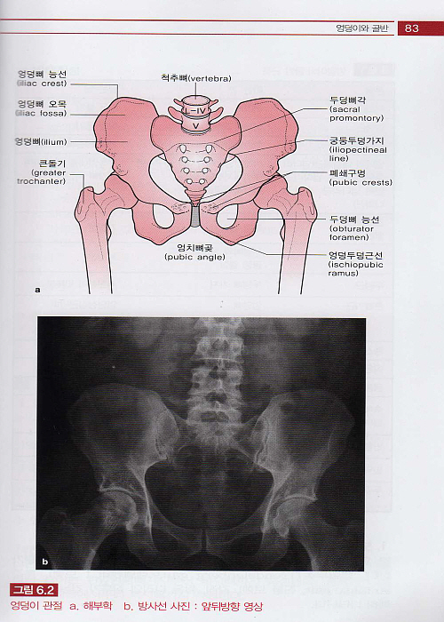 알기쉬운 정형외과 검진법