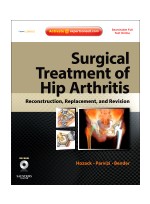 Surgical Treatment of Hip Arthritis: Reconstruction, Replacement, and Revision
