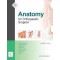 Anatomy for Orthopaedic Surgeon 3rd edition(정형외과의를위한해부학 3판)