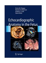 Echocardiographic Anatomy in the Fetus