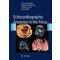 Echocardiographic Anatomy in the Fetus