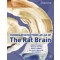 Chemoarchitectonic Atlas of the Rat Brain, 2/e