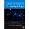 Cellular and Molecular Neurophysiology, 3/e