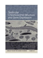 Testicular Chromosome Structure and Gene Expression