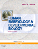 Human Embryology & Developmental Biology,4/e