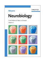 Neurobiology(From Molecular Basis to Disease )