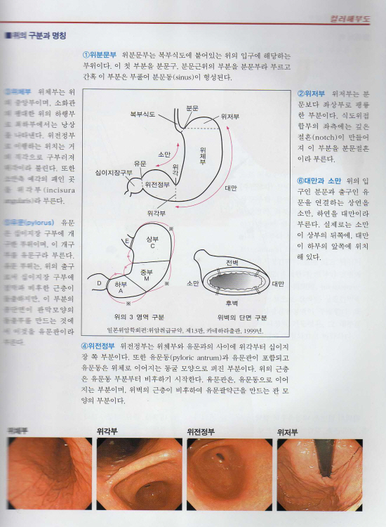 신소화관초음파아틀라스