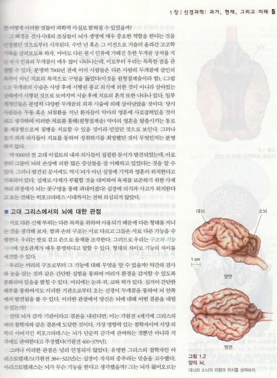 신경과학 : 뇌의 탐구 (Neuroscience: exploring the brain)