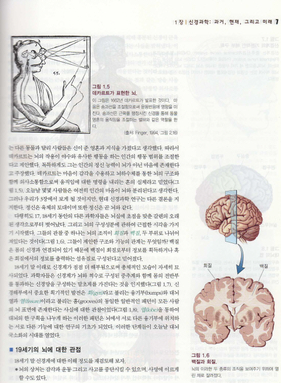 신경과학 : 뇌의 탐구 (Neuroscience: exploring the brain)