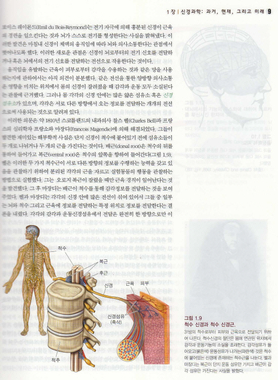 신경과학 : 뇌의 탐구 (Neuroscience: exploring the brain)