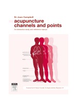 Acupuncture Channels and Points: An Interactive Study and Reference Manual