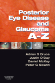 Posterior Eye Disease and Glaucoma A-Z