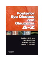 Posterior Eye Disease and Glaucoma A-Z