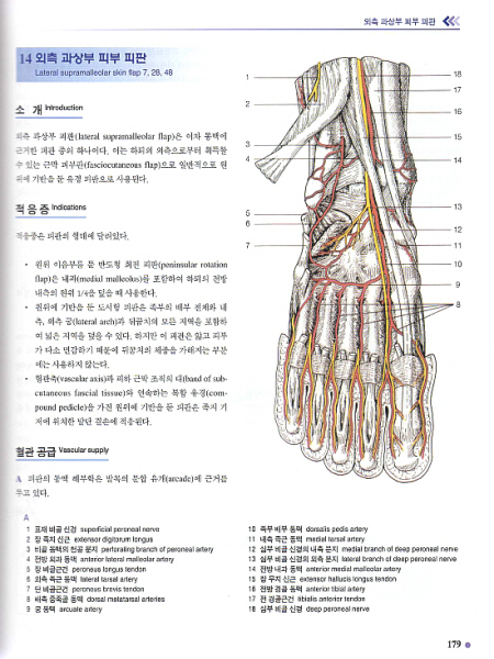 근골격계 피판 수술의 아틀라스 An Atlas of Flaps of the Musculoskeletal System