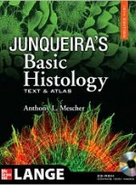 Junqueira's Basic Histology, 12th Edition: Text and Atlas