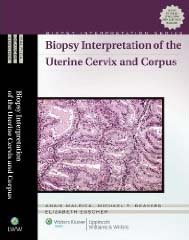 Biopsy Interpretation of the Uterine Cervix and Corpus