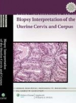 Biopsy Interpretation of the Uterine Cervix and Corpus