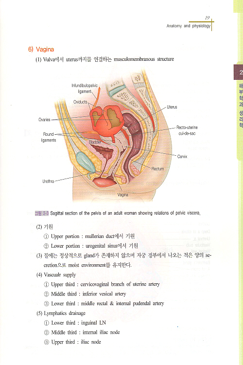 PACIFIC OBSTETRICS (산과 정리집)