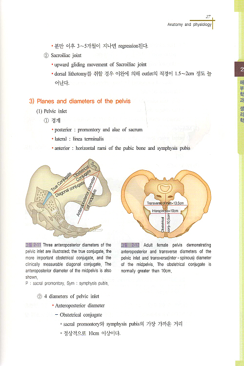 PACIFIC OBSTETRICS (산과 정리집)