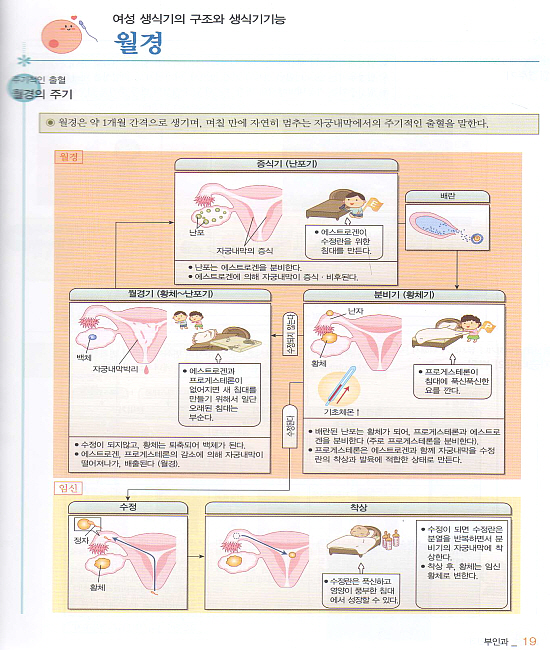 부인과 basic series