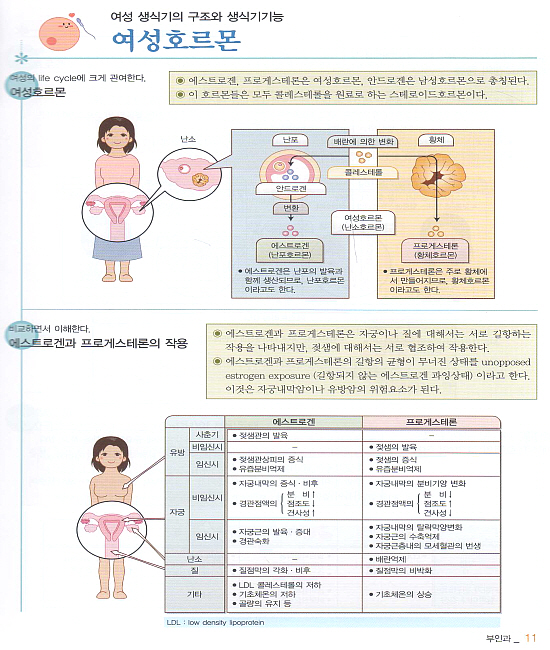 부인과 basic series