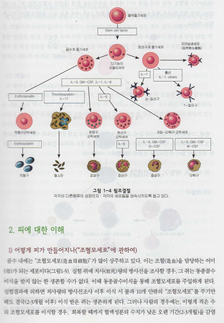 백혈병클리닉 제2판