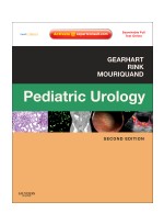 Pediatric Urology, 2nd Edition - Expert Consult - Online and Print