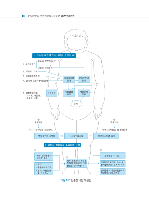 비만운동 처방론