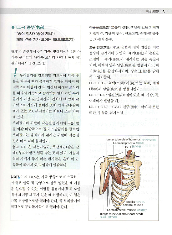 그림으로보는 경혈과 통증유발점