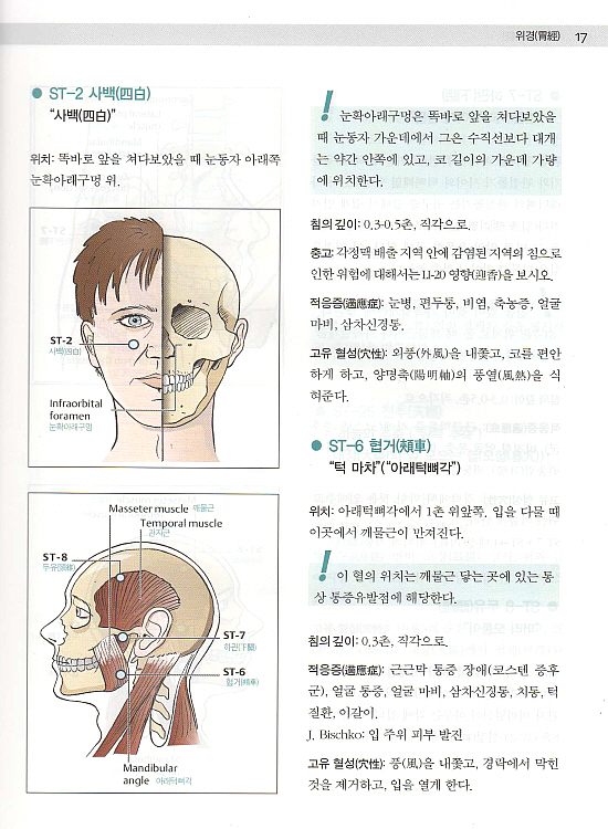 그림으로보는 경혈과 통증유발점