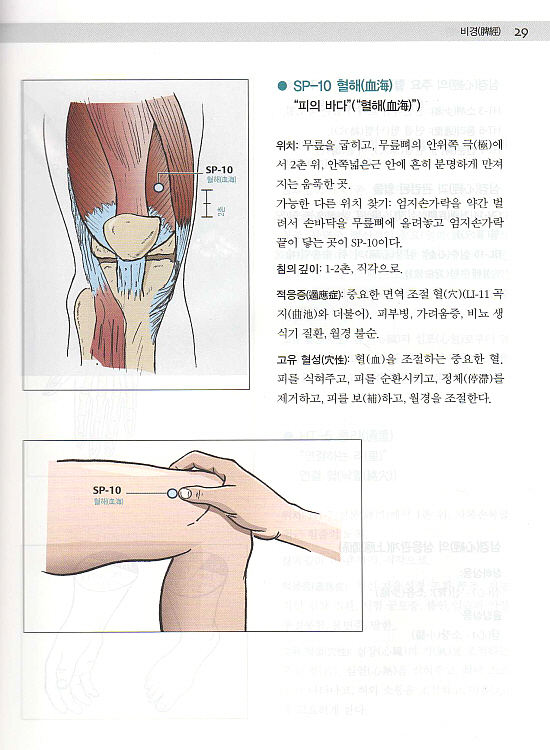 그림으로보는 경혈과 통증유발점